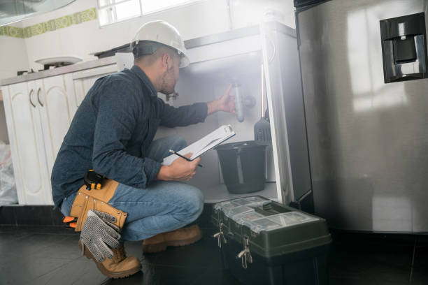 Best Local Plumber Services  in New Lisbon, WI